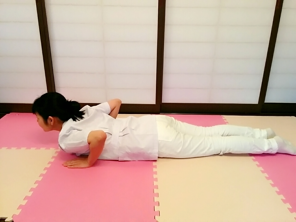 f:id:rigaku1:20151226115738j:plain
