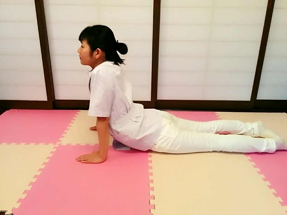 f:id:rigaku1:20151226115741j:plain f:id:rigaku1:20151226115741j:plain