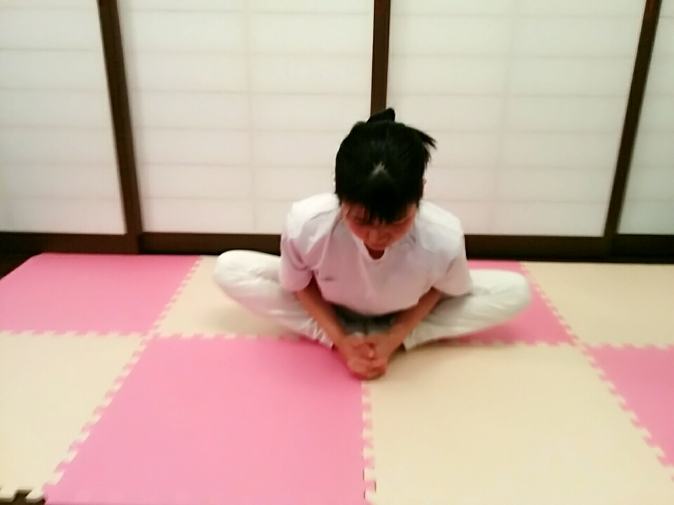 f:id:rigaku1:20151226120724j:plain