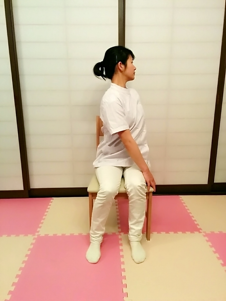 f:id:rigaku1:20151226120929j:plain f:id:rigaku1:20151226120929j:plain