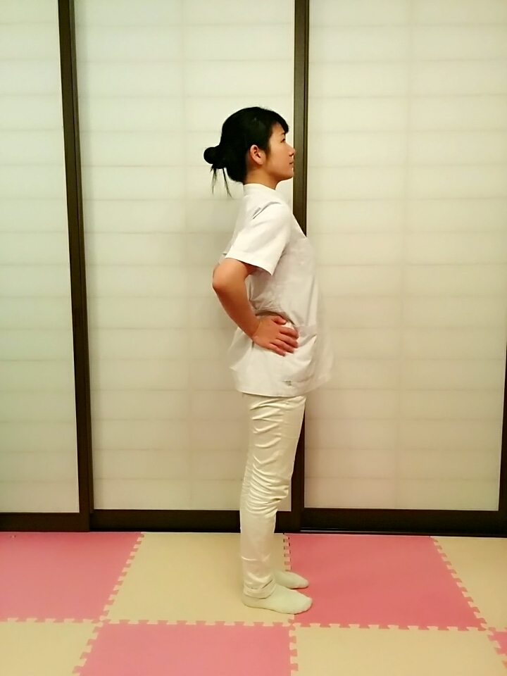 f:id:rigaku1:20151226120955j:plain