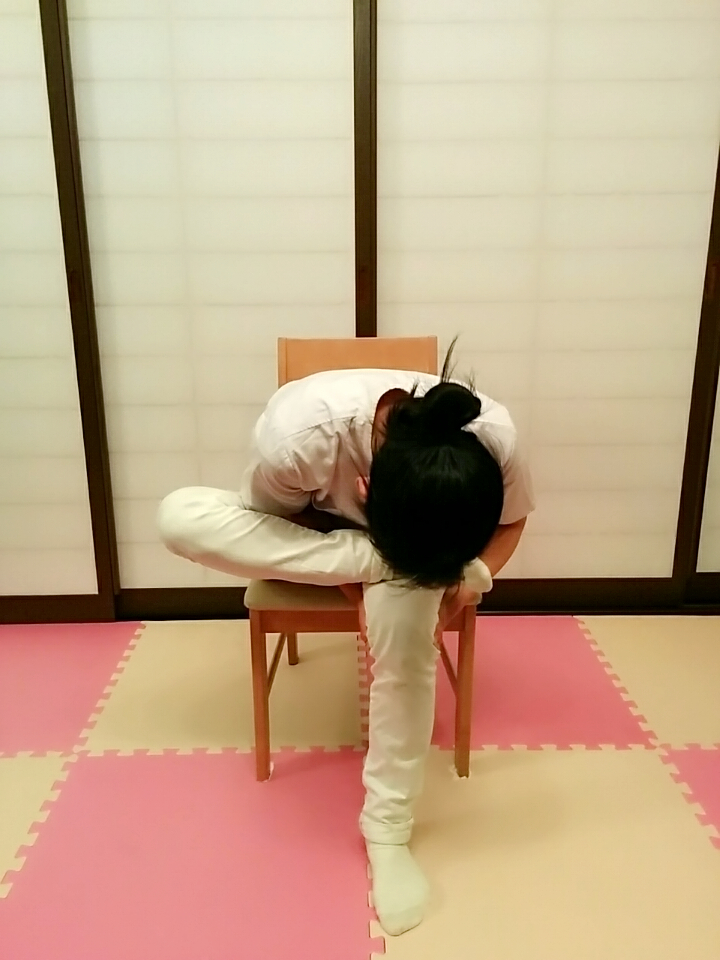 f:id:rigaku1:20151226121012j:plain