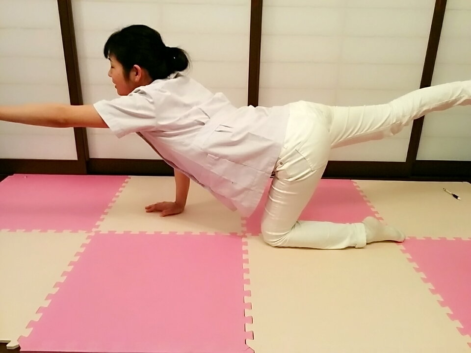 f:id:rigaku1:20151227125605j:plain f:id:rigaku1:20151227125605j:plain