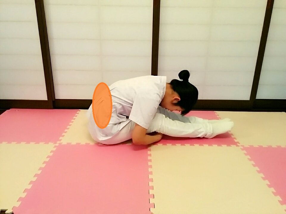f:id:rigaku1:20160110181213j:plain