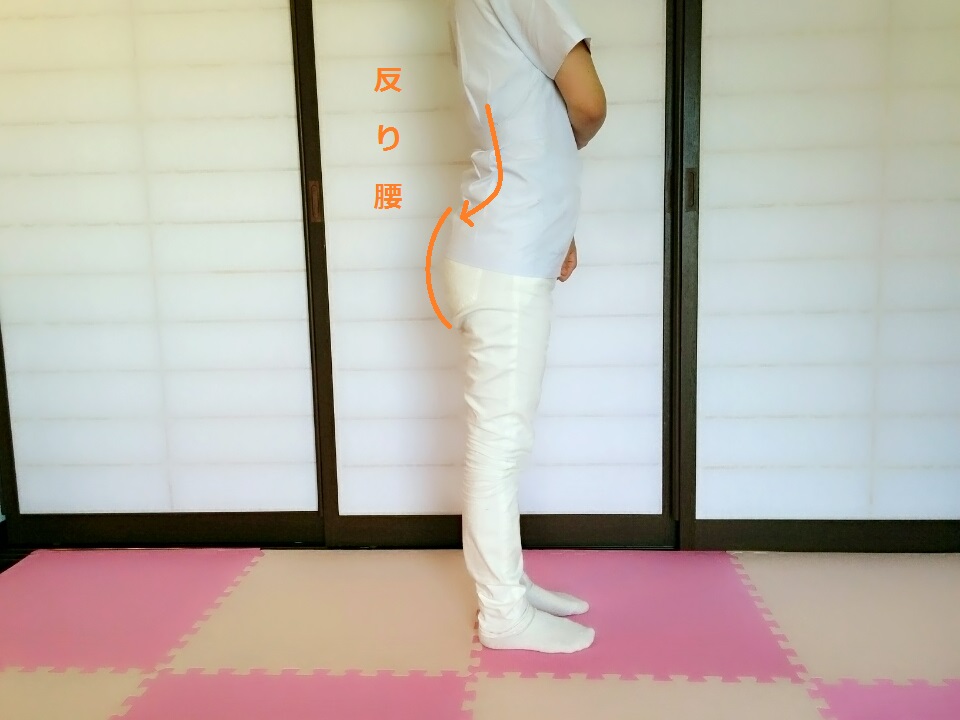 f:id:rigaku1:20160110232633j:plain f:id:rigaku1:20160110232633j:plain