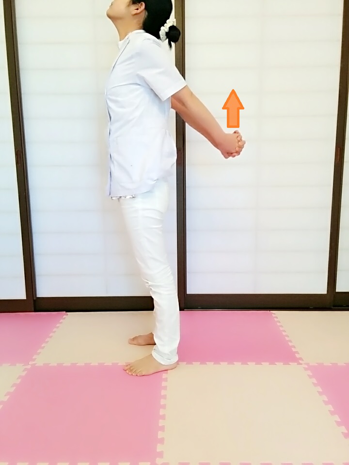f:id:rigaku1:20160207134043j:plain f:id:rigaku1:20160207134043j:plain
