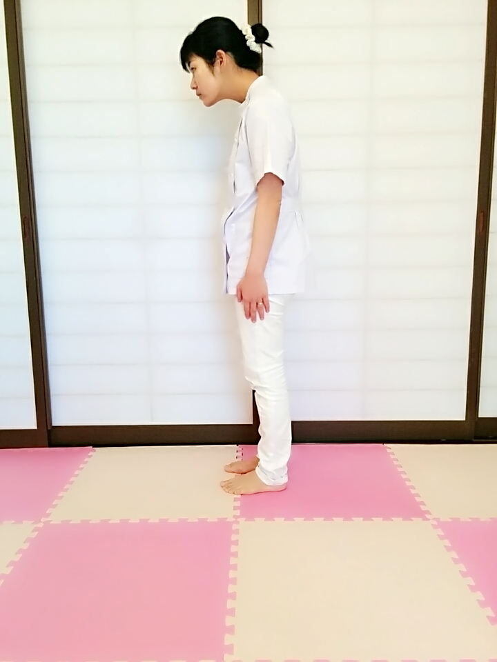 f:id:rigaku1:20160207135703j:plain f:id:rigaku1:20160207135703j:plain