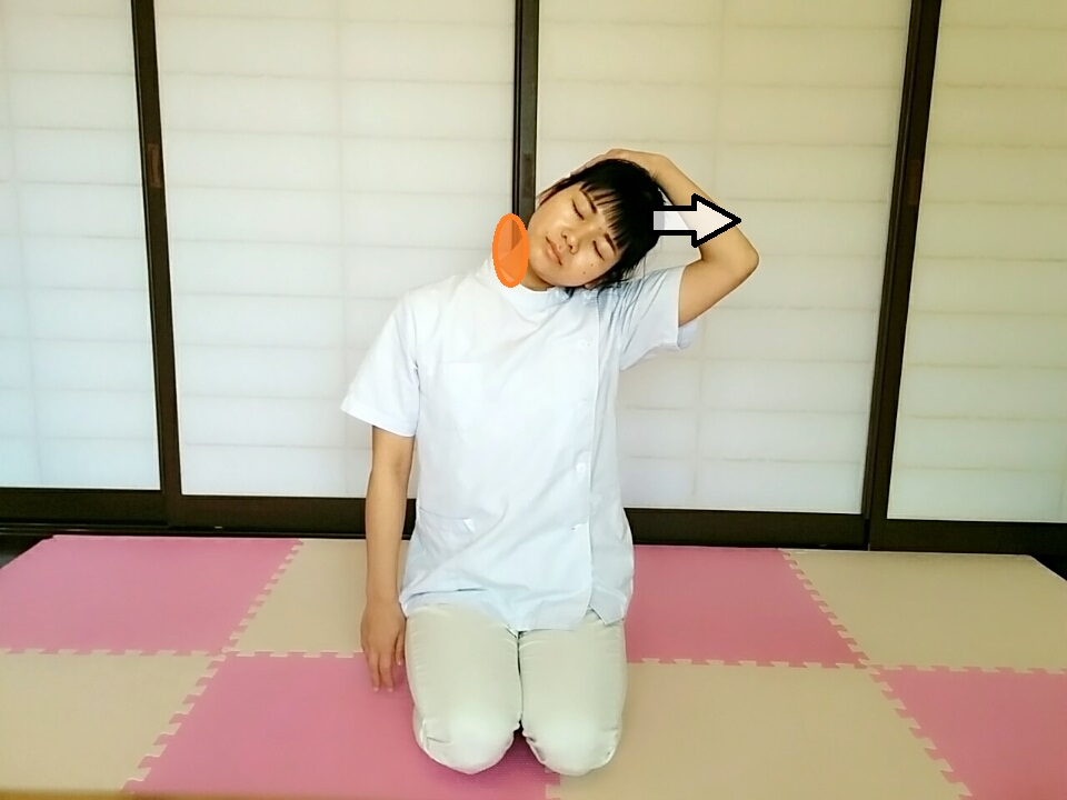 f:id:rigaku1:20160213222725j:plain f:id:rigaku1:20160213222725j:plain