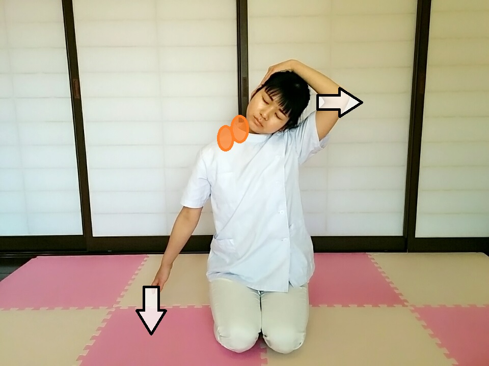 f:id:rigaku1:20160213223008j:plain f:id:rigaku1:20160213223008j:plain