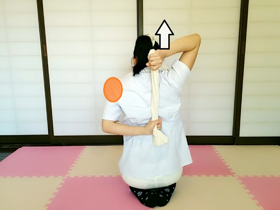 f:id:rigaku1:20160213223137j:plain f:id:rigaku1:20160213223137j:plain