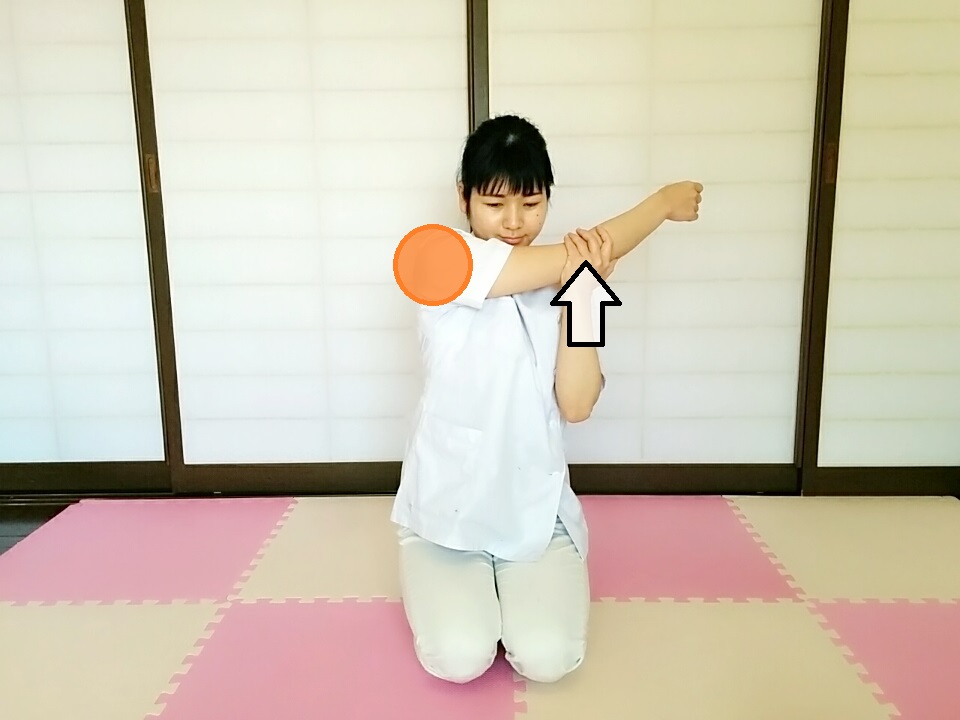 f:id:rigaku1:20160213223410j:plain f:id:rigaku1:20160213223410j:plain