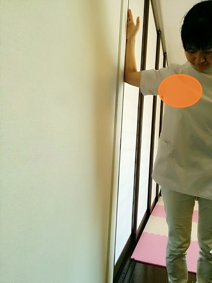 f:id:rigaku1:20160213224421j:plain f:id:rigaku1:20160213224421j:plain
