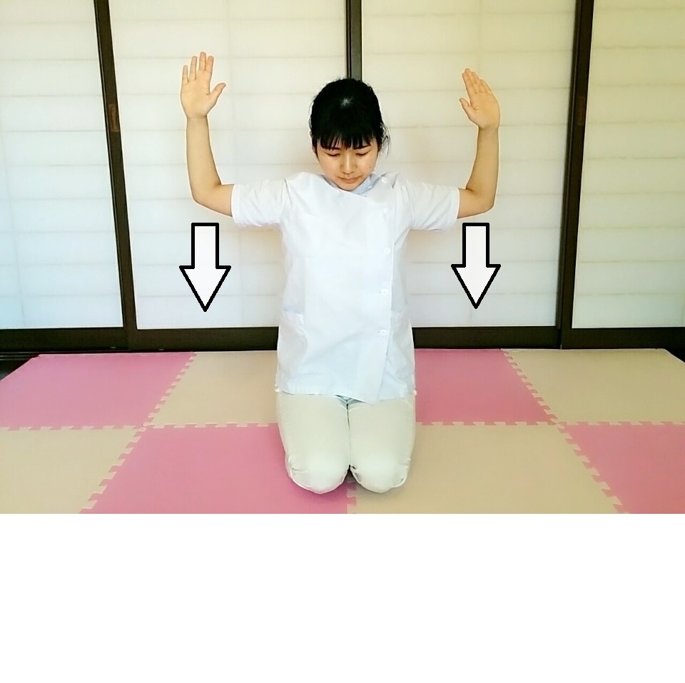 f:id:rigaku1:20160213224914j:plain f:id:rigaku1:20160213224914j:plain