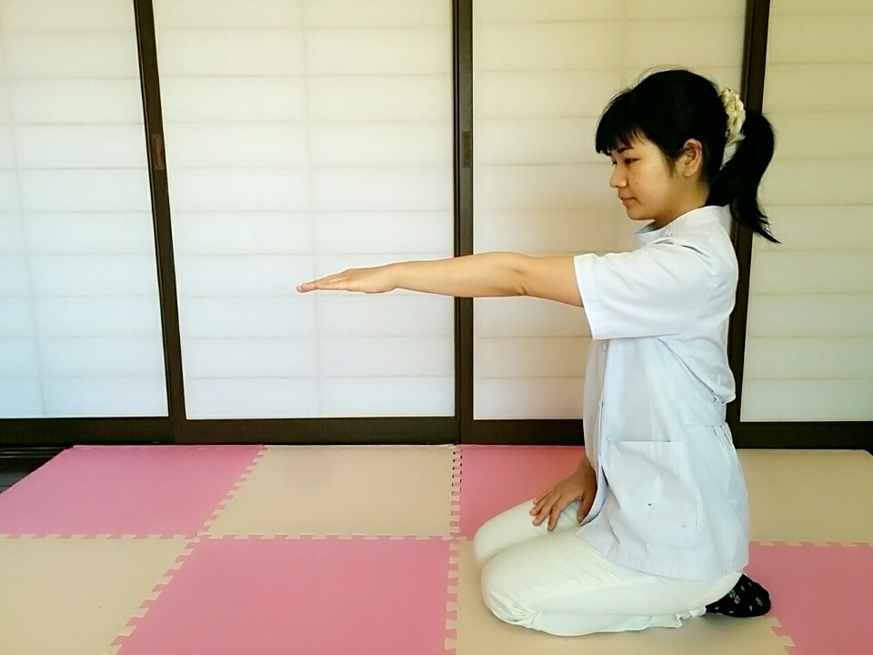 f:id:rigaku1:20160213231237j:plain f:id:rigaku1:20160213231237j:plain