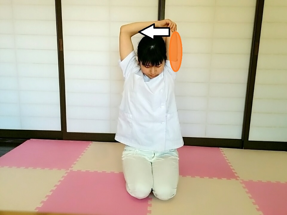 f:id:rigaku1:20160218110821j:plain f:id:rigaku1:20160218110821j:plain