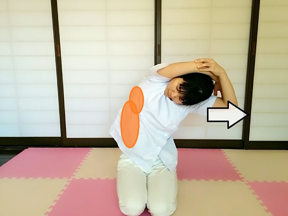 f:id:rigaku1:20160218111323j:plain f:id:rigaku1:20160218111323j:plain