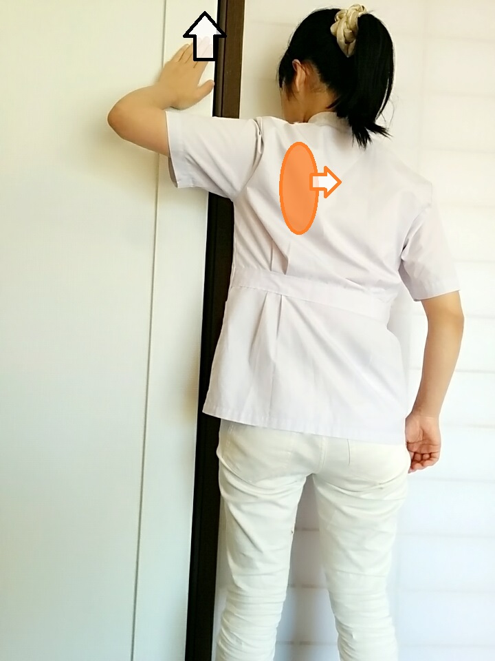 f:id:rigaku1:20160218222453j:plain f:id:rigaku1:20160218222453j:plain