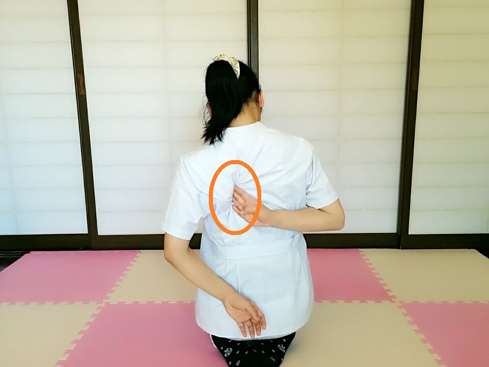 f:id:rigaku1:20160218222710j:plain f:id:rigaku1:20160218222710j:plain