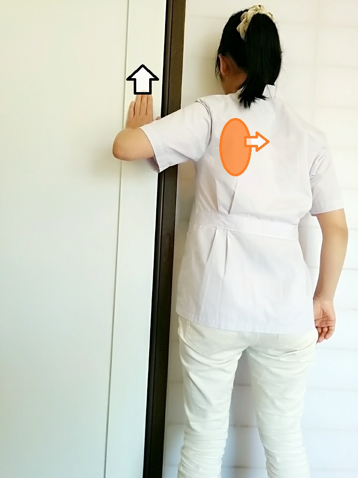 f:id:rigaku1:20160218222750j:plain f:id:rigaku1:20160218222750j:plain